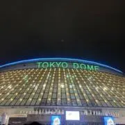 momo⑅◡̈*の画像