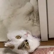 ！の画像