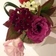 y2yamada