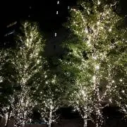 プロフ必読！ゆんゆん