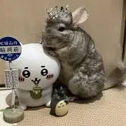 苺たるとPの画像