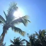 透明度40メートルの画像