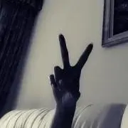 rabbitの画像