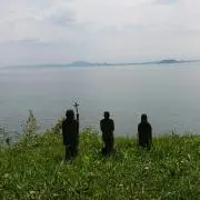 たらの画像