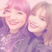 杏の画像