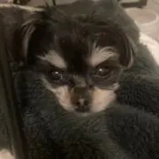 なおなお