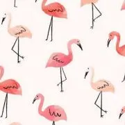 PONdeRINGの画像