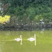 トクツミ