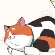 Rの画像