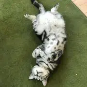 まる