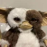 ピノの画像