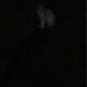 R*o様 【夢屋】山形交通三山線モハ100形 車体キット ジャンク - メルカリ