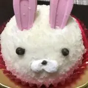 うさぎ【次回発送６／１２頃の予定です】の画像