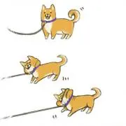 RMM^_^の画像