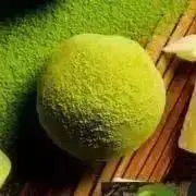 まっちゃ⚠️プロフィールをご確認くださいの画像