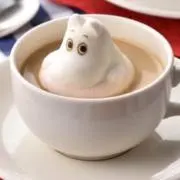 toto