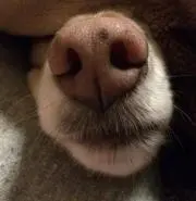カンタロウ