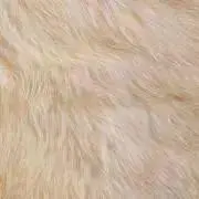 1103