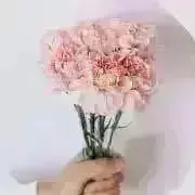 yuyuの画像