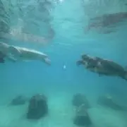 断捨離学生の画像