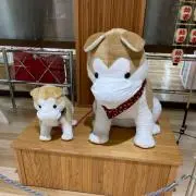 ぶらっくの画像
