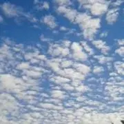 るりの画像