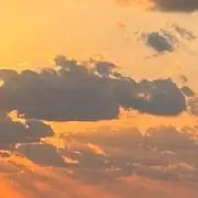 カキピの画像