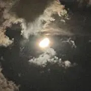 tの画像