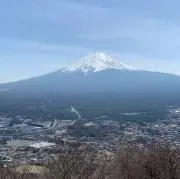 わんぱく小僧の画像