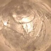 ななも