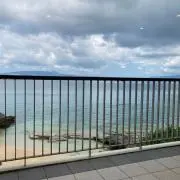 やんの画像