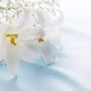 ユリ
