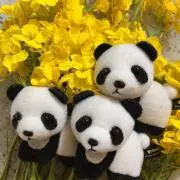 菜ぱんな☆  プロフもご一読ください