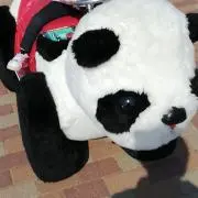 ゆりー