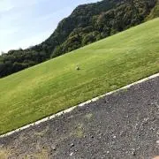 Byeの画像