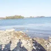kaiの画像