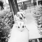 :::flaffy:::^^