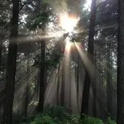 シキ