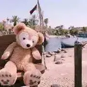 らるすくの画像