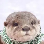 あみの画像