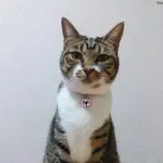 ☆mamama99☆の画像