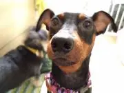 ☆cocokotamaroreo☆の画像
