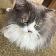 momo★グッズ整理中の画像