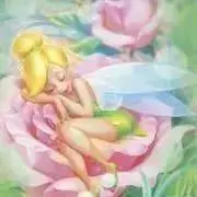 ティンク✩︎⡱の画像