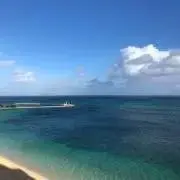 はんなふるの画像