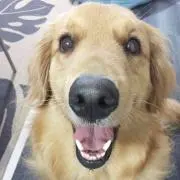 そらの画像