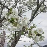 hyky,mの画像