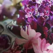 ぶーちゃん★ プロフ必読