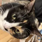 なおの画像
