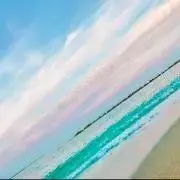 たまの画像